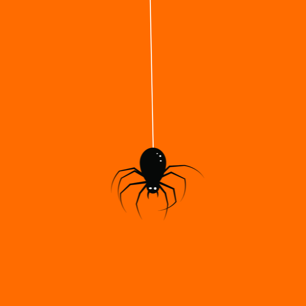 spider